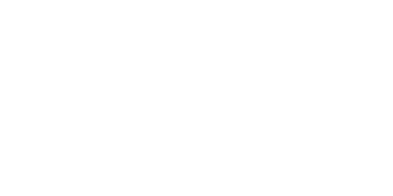 systemwerk GmbH & Co. KG